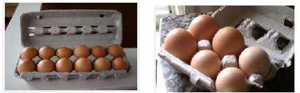 eggs