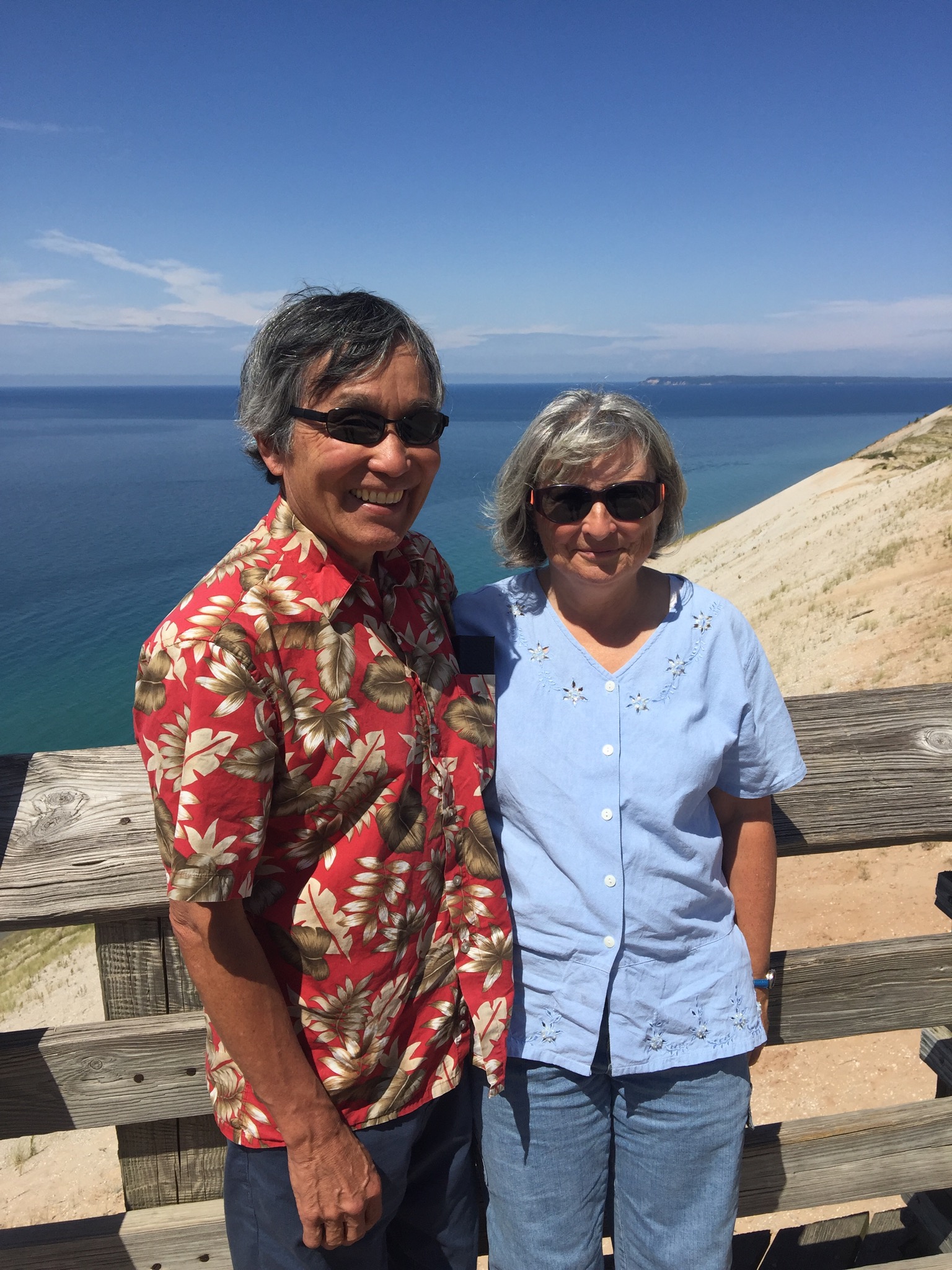 described in detail following the image